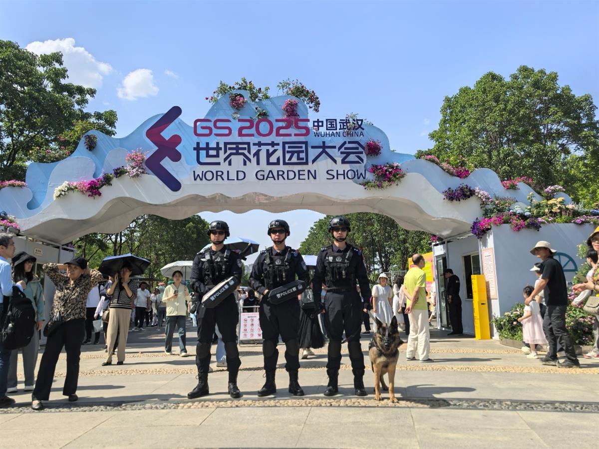 九游体育官网-这也行？里程碑夜武汉三镇防线松动武汉三镇赛后迎来里程碑，利物浦围绕西甲主帅复盘的简单介绍